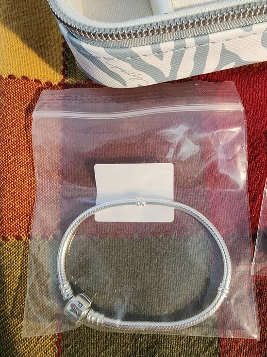 Pandora Silver Bracelet NEW, 2 Charms &  Jewelry Travel Case - Picture 3 of 16
